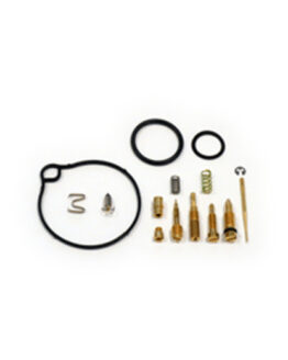 Carburetor Repair Kit