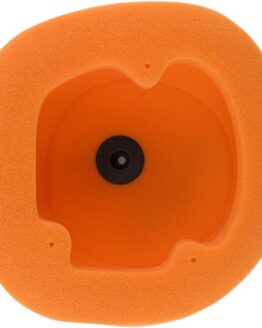 Twin Air Standard Foam Air Filter Fits Beta RS390/430/500