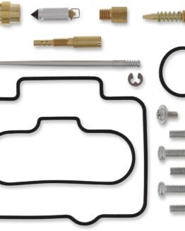 Carburetor Repair Kit