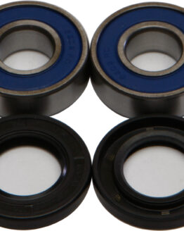 Wheel Bearing & Seal Kit