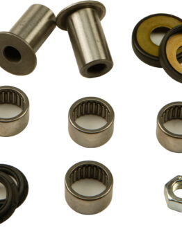 Swing Arm Bearing Kit