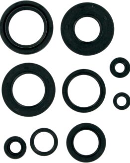 Oil Seal Kit