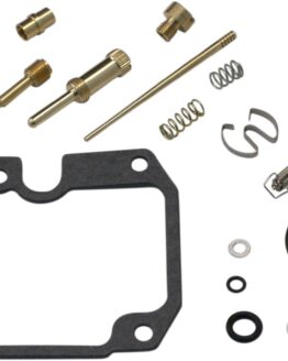 Carburetor Repair Kit