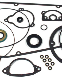 Primary Gasket & Seal Kit