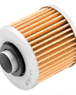 Oil Filter BM-207 Replaces Suzuki 16510-35G00 & K5201-00001