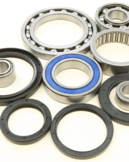 Rear Differential Bearing & Seal Kit