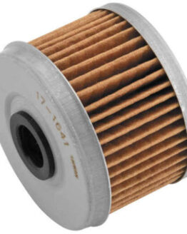Oil Filter BM-113