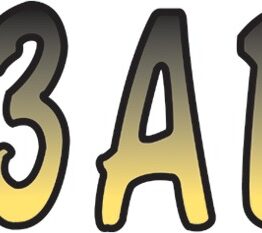 Series 200 Premium Registration Kit Yellow/Black by Hardline