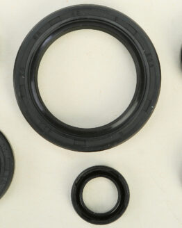 Oil Seal Kit