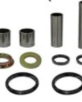 Bronco Swingarm Bearing Kit for ATV