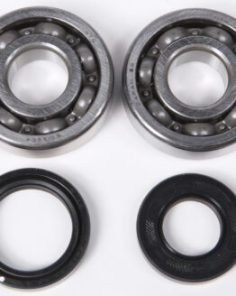 Crankshaft Bearing & Seal Kit