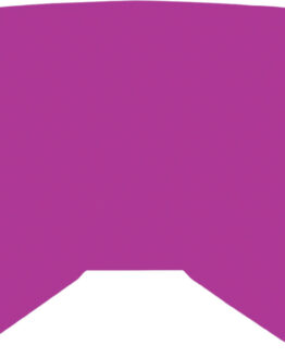 Fly Pink Mirror/Smoke Lens w/ Posts For Youth Zone/Focus Goggles