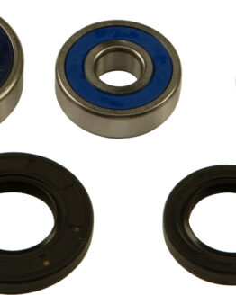 Rear Wheel Bearing Kit