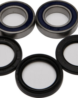 All Balls Wheel Bearing & Seal Kit Fits 79-86 Honda, 83-04 Suzuki