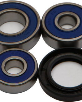 Rear Wheel Bearing & Seal Kit