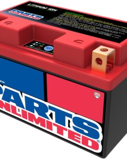 LiFePO4 Lithium-Ion Battery