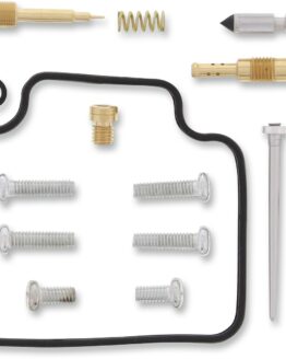 Carburetor Repair Kit