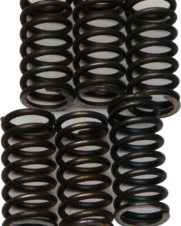 CSK Series Clutch Springs +15%