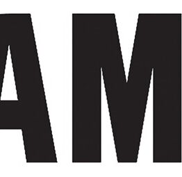 Factory Effex 3 ft. Die-Cut Stickers Black