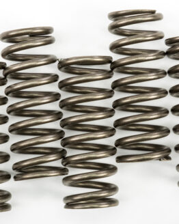 CSK Series Clutch Springs