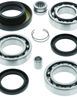 Rear Differential Bearing & Seal Kit