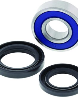 06-09 Arctic Cat 250 2x4 Lower Steering Bearing Kit