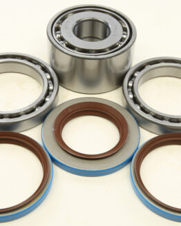 Rear Differential Bearing & Seal Kit
