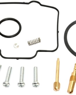 Carburetor Repair Kit