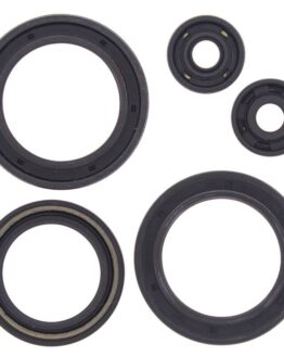 Vertex Oil Seal Kit Fits 1993 Polaris 350L 2x4