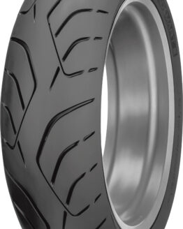 Roadsmart III Rear Tire 190/50ZR17 73W Radial TL