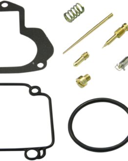 Carburetor Repair Kit