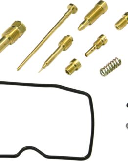 Carburetor Repair Kit