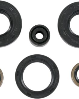 Oil Seal Kit
