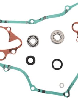Water Pump Rebuild Kit