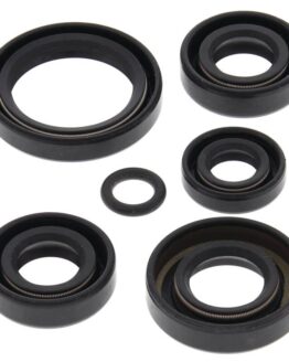 Vertex Engine Oil Seal Kit 822242