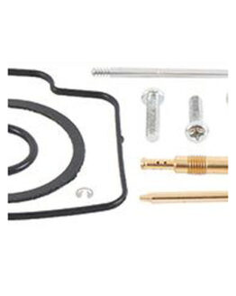 Bike Carburetor Rebuild Kit