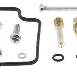 Carburetor Rebuild Kit