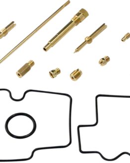 Carburetor Repair Kit