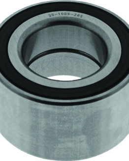 QuadBoss Wheel Bearing Kit for 19-21 Prowler Pro Front