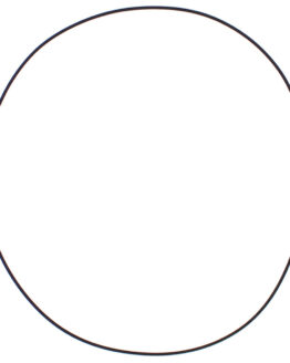 Vertex Clutch Cover O-Ring Gasket