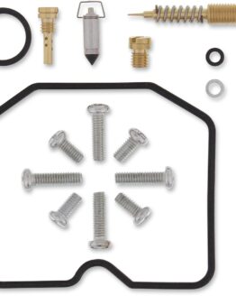 Carburetor Repair Kit