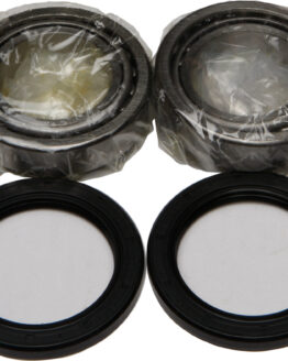 Wheel Bearing & Seal Kit