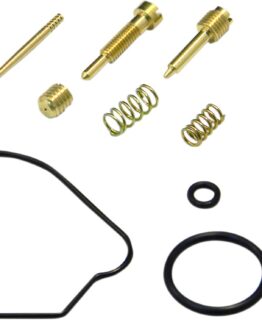 Carburetor Repair Kit