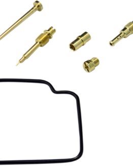 Carburetor Repair Kit