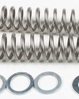Fork Springs 0.9KG