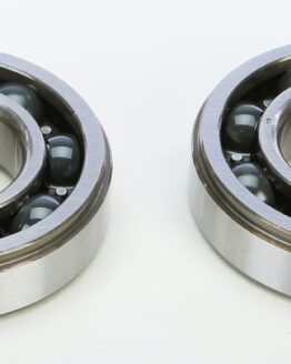 Crankshaft Bearing & Seal Kit
