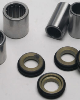 Swing Arm Bearing Kit