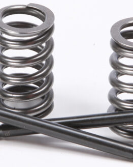 Steel Intake Valve/Spring Kit