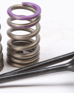 Steel Intake Valve/Spring Kit