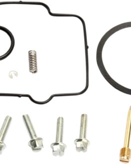 Carburetor Repair Kit